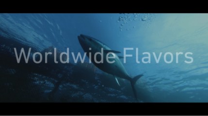 ダイジェストムービーVol.2