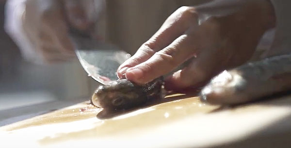 イワシの頭、背ビレ、尾ビレを落とした後、開いて内臓と骨を取り、身だけの状態にする。(手開きも可。)